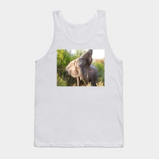 African Bull Elephant in Okavango Delta in Botswana Tank Top